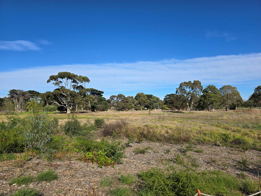 A Walk Through Yalukit Willam Nature Reserve