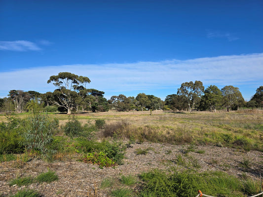 A Walk Through Yalukit Willam Nature Reserve