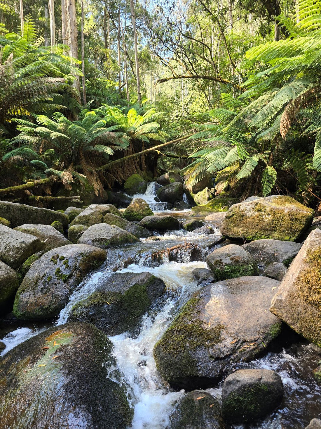 Eco-Friendly Essentials for Melbourne’s Winter: Stay Warm, Stay Green