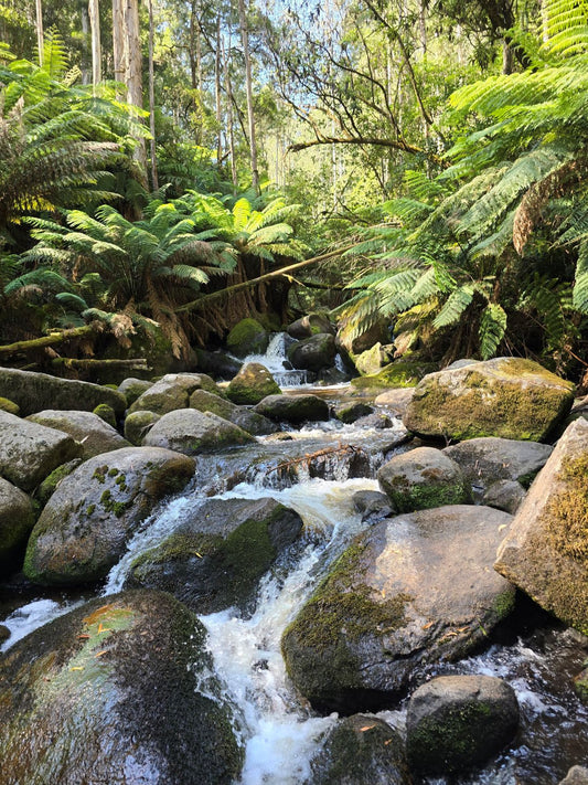 Eco-Friendly Essentials for Melbourne’s Winter: Stay Warm, Stay Green