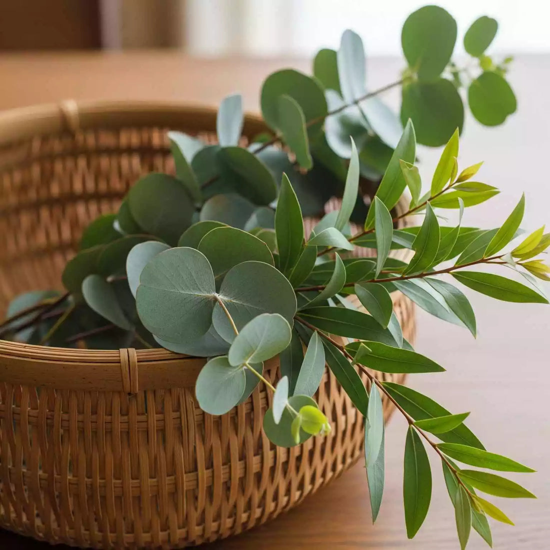 Why Australian Home Needs Eucalyptus & Lemon Myrtle: Clean, Non-Toxic Wellness