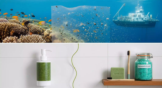 How Seaweed Tech and Natural Skincare Protect Our Waters