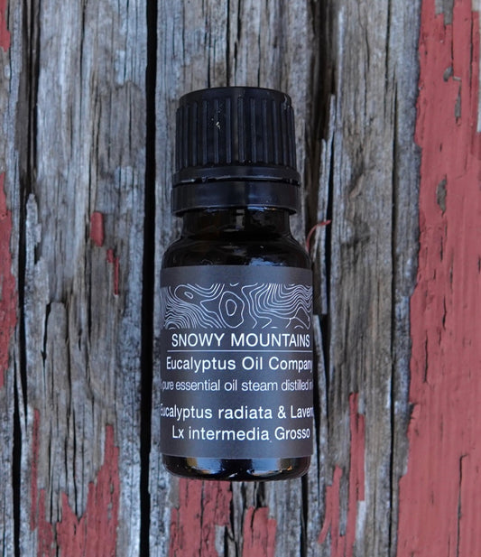 Eucalyptus & Lavender Essential Oil Blend – 10ML